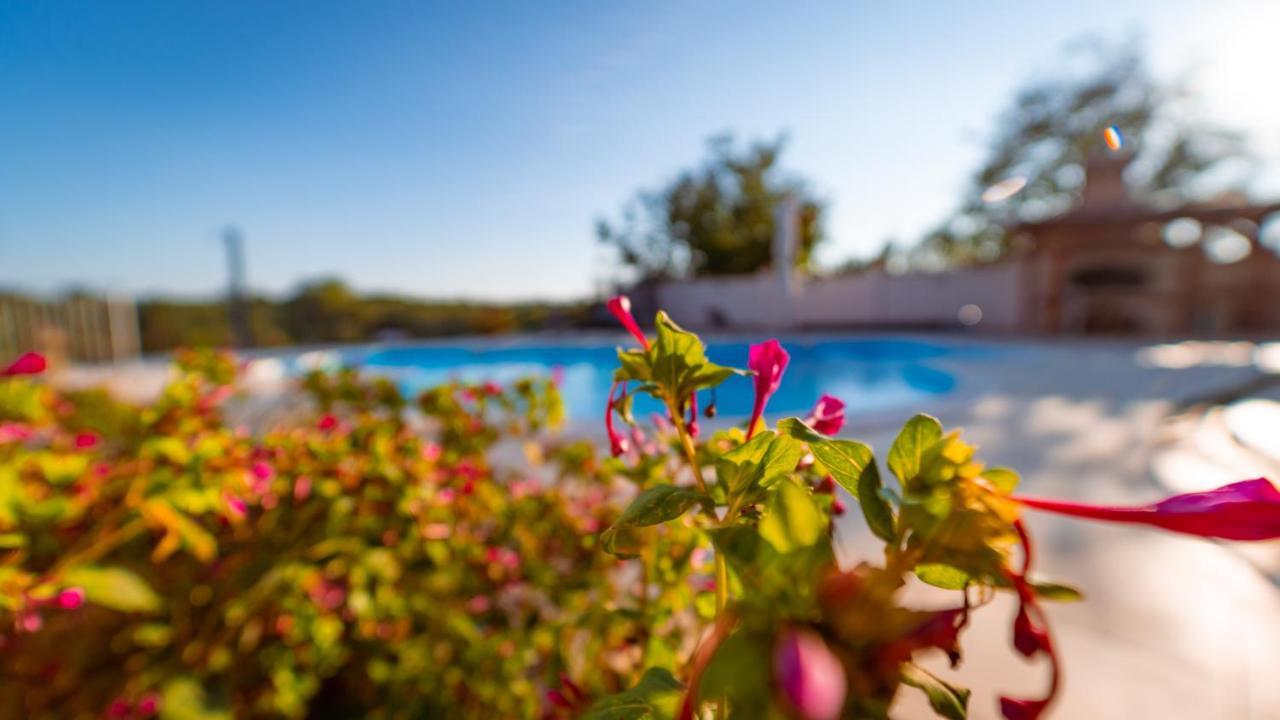 Villa Arton Heated Swimming-Pool Žminj Zewnętrze zdjęcie