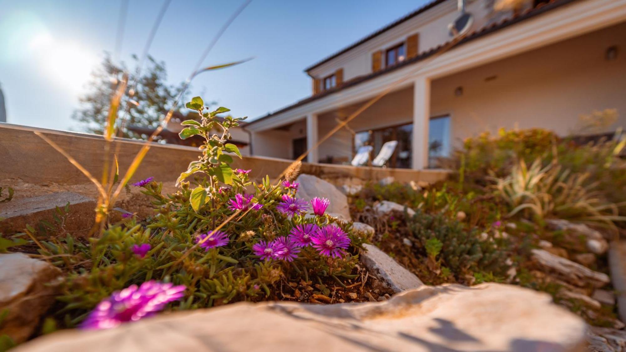 Villa Arton Heated Swimming-Pool Žminj Zewnętrze zdjęcie